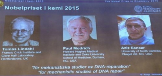 Nobel z chemii za badania mechanizmów naprawy DNA