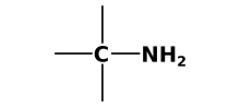 Grupa funkcyjna amin